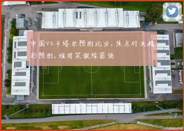 中国vs卡塔尔预测比分,焦点对决精彩预测,谁将笑傲绿茵场