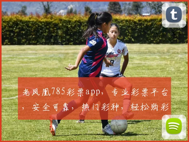 老凤凰785彩票app，专业彩票平台，安全可靠，热门彩种，轻松购彩，三重优惠，不容错过，快体验