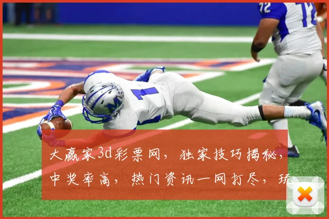 大赢家3d彩票网，独家技巧揭秘，中奖率高，热门资讯一网打尽，玩转彩市必备