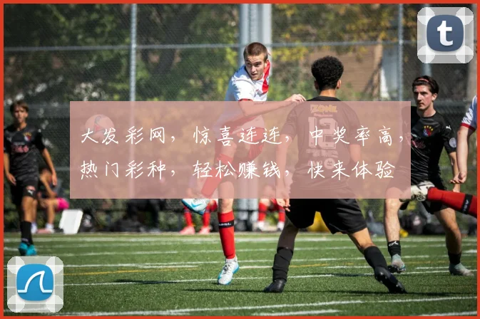 大发彩网，惊喜连连，中奖率高，热门彩种，轻松赚钱，快来体验
