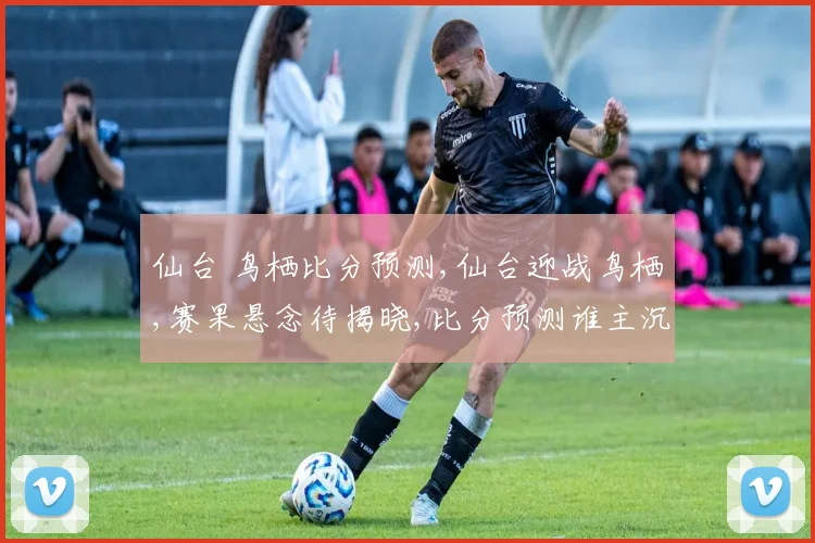 仙台 鸟栖比分预测,仙台迎战鸟栖,赛果悬念待揭晓,比分预测谁主沉浮